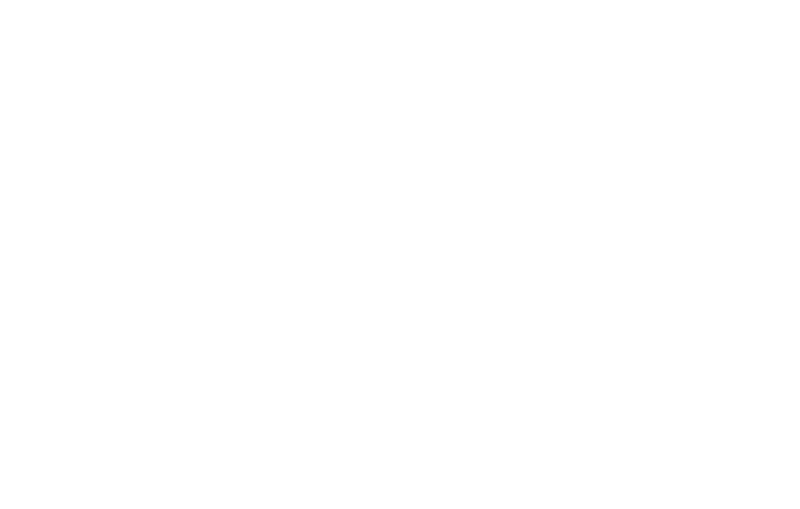 DDC Logo